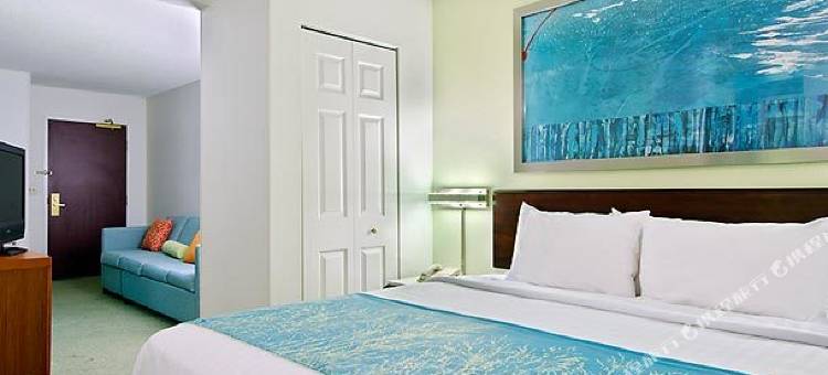 阿什维尔万豪SpringHill酒店(SpringHill Suites Asheville)图片