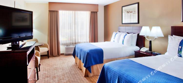 Holiday Inn 格威内特中心(Holiday Inn Atlanta-Gas South Arena Area)图片