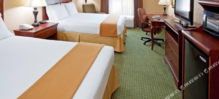 智选假日套房酒店宾厄姆顿大学的修女(Holiday Inn Express & Suites Binghamton University-Vestal)图片