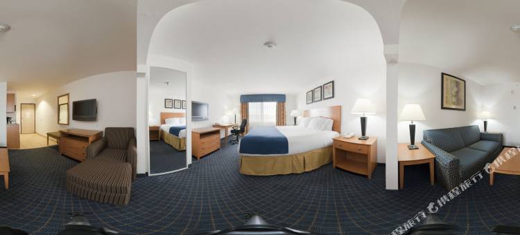 智选假日套房酒店卡尔斯巴德(Holiday Inn Express & Suites Carlsbad)图片