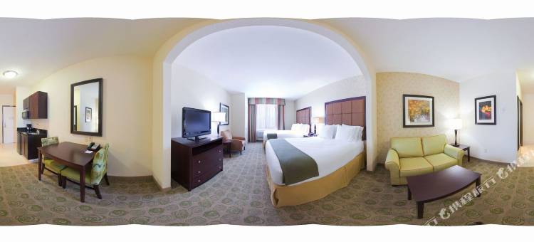 智选假日套房酒店达拉斯东(Holiday Inn Express & Suites Dallas East - Fair Park)图片