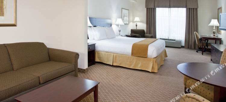 智选假日套房酒店罗切斯特韦伯斯特(Holiday Inn Express & Suites Rochester Webster)图片