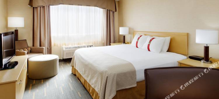 Holiday Inn 莱斯布里奇(Holiday Inn Lethbridge)图片