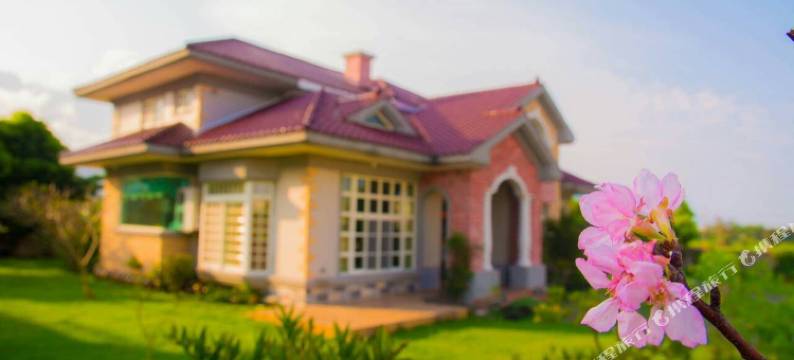 花莲花田草弄241民宿图片