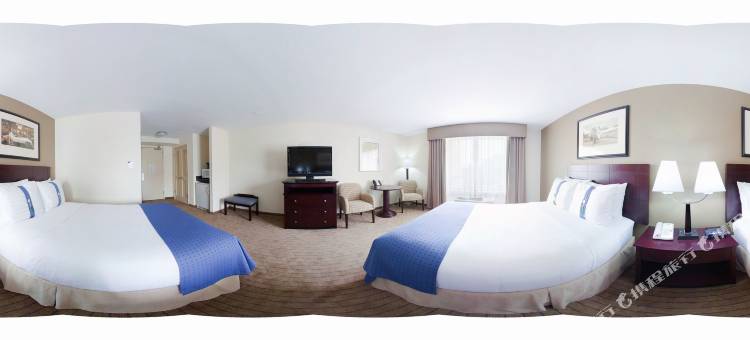 Holiday Inn 格威内特中心(Holiday Inn Atlanta-Gas South Arena Area)图片