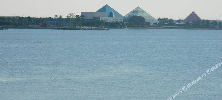 加尔维斯顿岛万豪SpringHill酒店(SpringHill Suites Galveston Island)图片