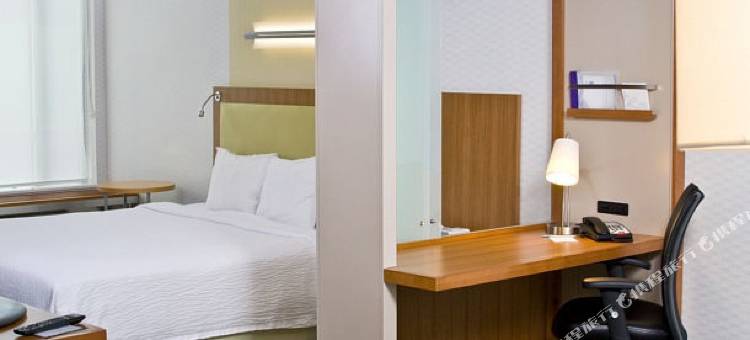 哈里斯堡赫尔希万豪SpringHill酒店(SpringHill Suites Harrisburg Hershey)图片