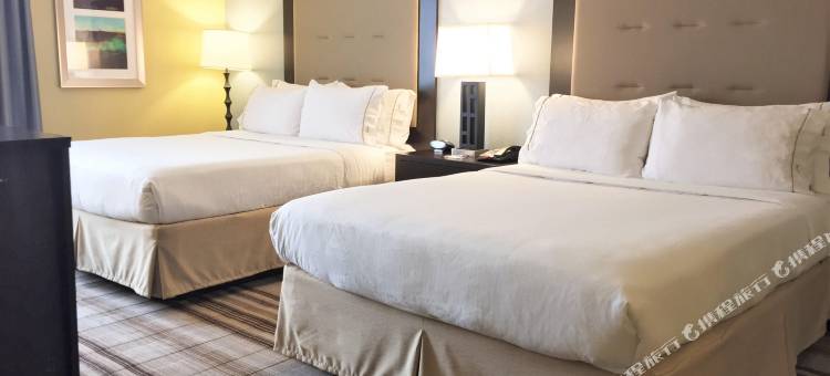 芝加哥NW阿灵顿高地智选假日酒店(Holiday Inn Express Chicago NW - Arlington Heights)图片