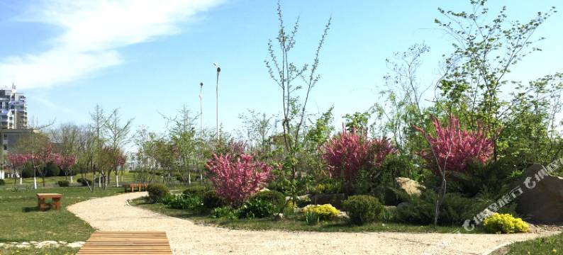 丹东海水温泉圣地公寓图片