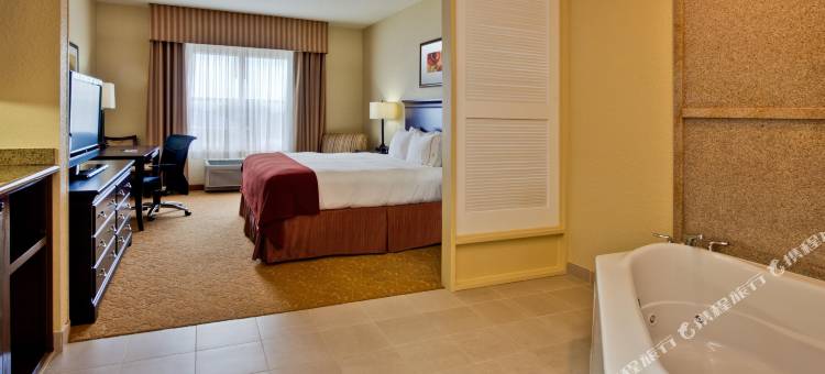 智选假日套房酒店莱克兰(Holiday Inn Express & Suites Lakeland North - I-4)图片
