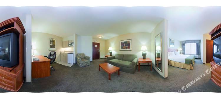 智选假日套房酒店帕斯科 - TRICITIES(Holiday Inn Express & Suites Pasco-Tricities)图片