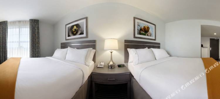 北威廉斯堡智选假日酒店(Holiday Inn Express Williamsburg North)图片