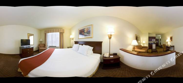 智选假日套房酒店韦斯拉科(Holiday Inn Express & Suites Weslaco)图片