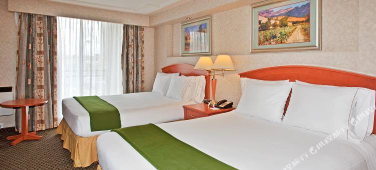 智选假日套房酒店卡尔加里(Holiday Inn Express & Suites Calgary)图片