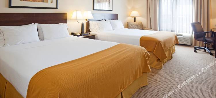 智选假日套房酒店苏福尔斯的布兰顿(Holiday Inn Express & Suites Sioux Falls-Brandon)图片