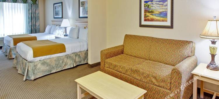 智选假日套房酒店代弗尼- MALBIS(Holiday Inn Express & Suites Daphne-Spanish Fort Area)图片