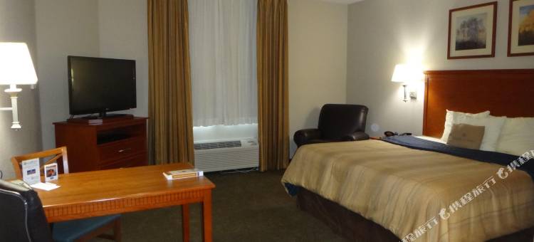 Candlewood Suites 迪凯特医疗中心(Candlewood Suites Decatur Medical Center)图片