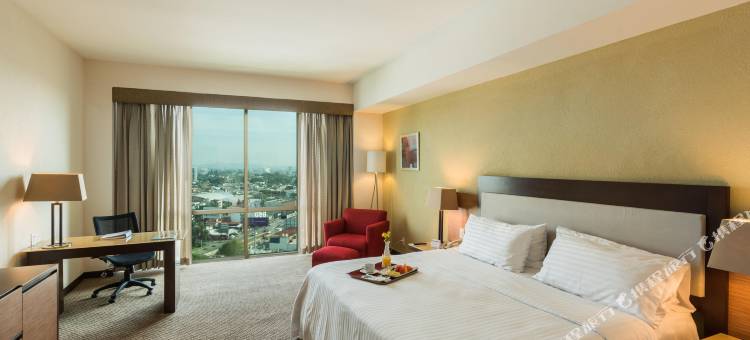 Holiday Inn 瓜达拉哈拉(Holiday Inn Guadalajara Select)图片