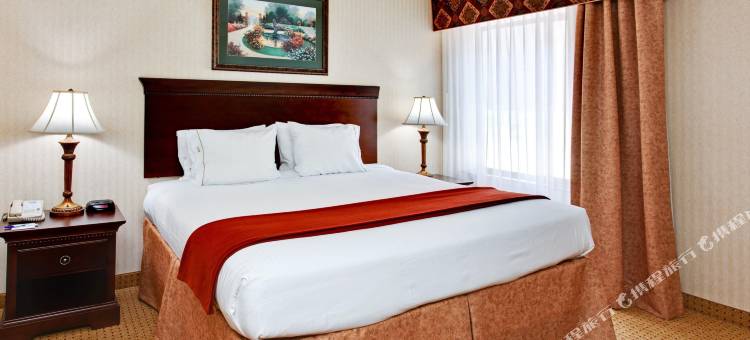 智选假日酒店及套房 金斯波特 by IHG(Holiday Inn Express & Suites Kingsport-Meadowview I-26)图片
