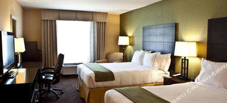 兰辛-迪莫代尔洲际智选假日套房酒店(Holiday Inn Express & Suites LANSING-DIMONDALE by IHG)图片