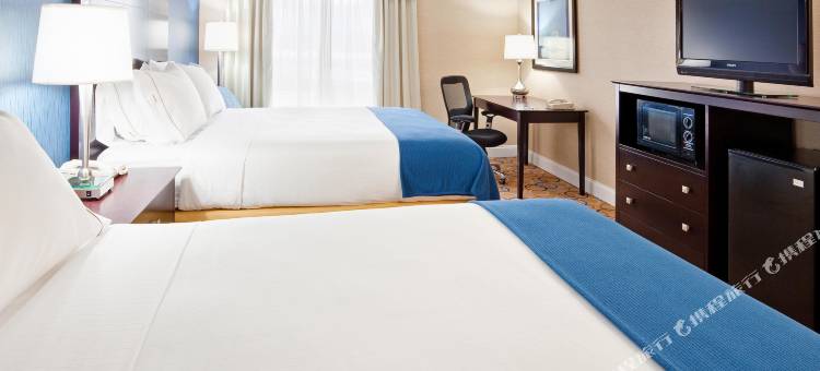 智选假日套房酒店威廉斯波特(Holiday Inn Express & Suites Williamsport)图片