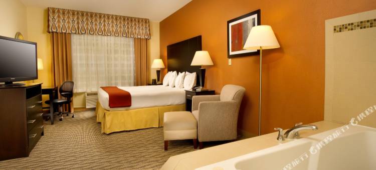 智选假日套房酒店马纳萨斯(Holiday Inn Express & Suites Manassas)图片
