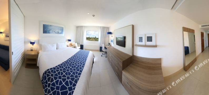 阿卡普尔科拉岛假日酒店(Holiday Inn Acapulco la Isla, an IHG Hotel)图片