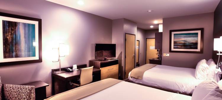 智选假日套房酒店阿马里洛(西)(Holiday Inn Express & Suites Amarillo West)图片