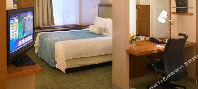 罗穆勒斯底特律都会机场万豪SpringHill酒店(SpringHill Suites Detroit Metro Airport Romulus)图片