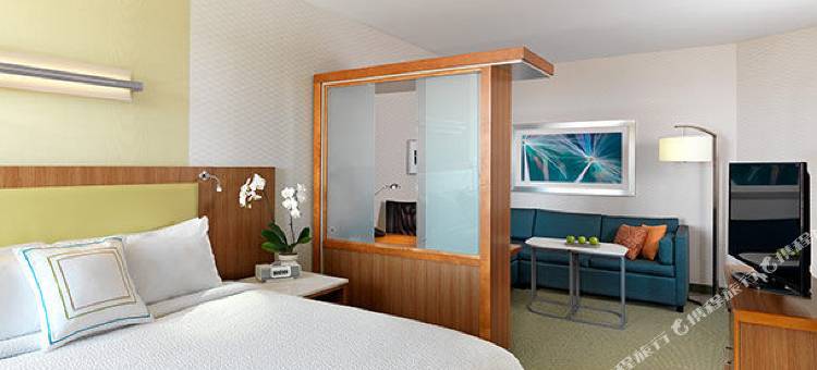 兰伯顿SpringHill Suites 酒店(SpringHill Suites Lumberton)图片