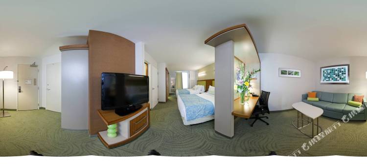 印第安纳波利斯市中心SpringHill套房(SpringHill Suites Indianapolis Downtown)图片