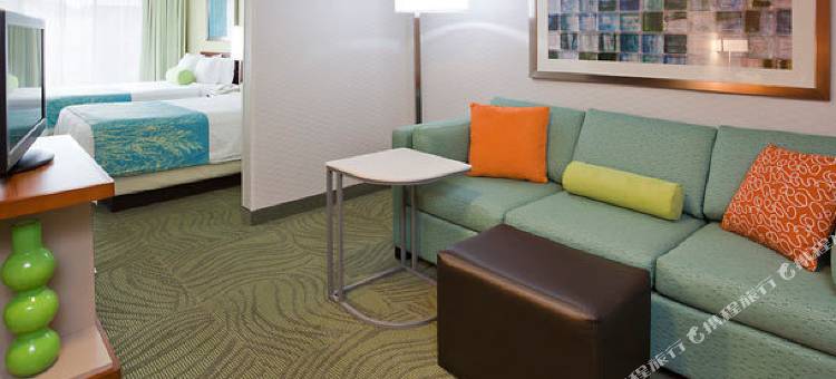 罗切斯特梅奥医学中心／圣玛丽医院万豪SpringHill酒店(SpringHill Suites Rochester Mayo Clinic Area/Saint Marys)图片