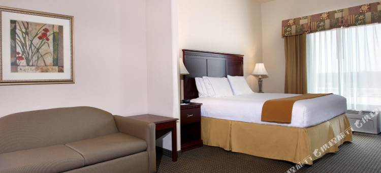 智选假日套房酒店赫恩(Holiday Inn Express & Suites Hearne)图片