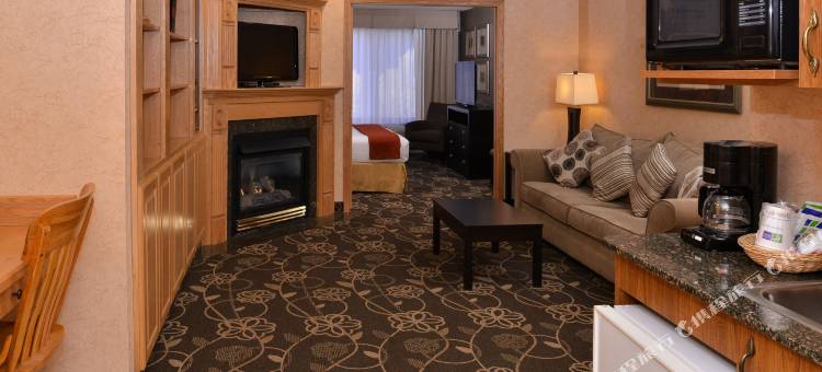 智选假日套房酒店爱达荷福尔斯(Holiday Inn Express & Suites Idaho Falls)图片