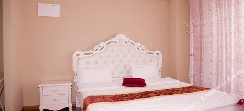 大连天信假日酒店公寓(大连高新万达店)图片