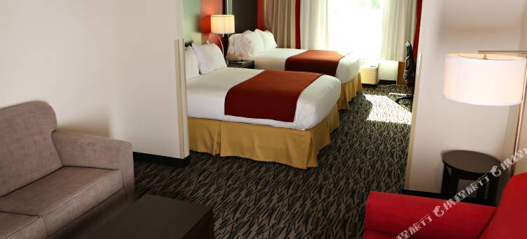 萨姆特智选假日酒店及套房(Holiday Inn Express & Suites Sumter)图片