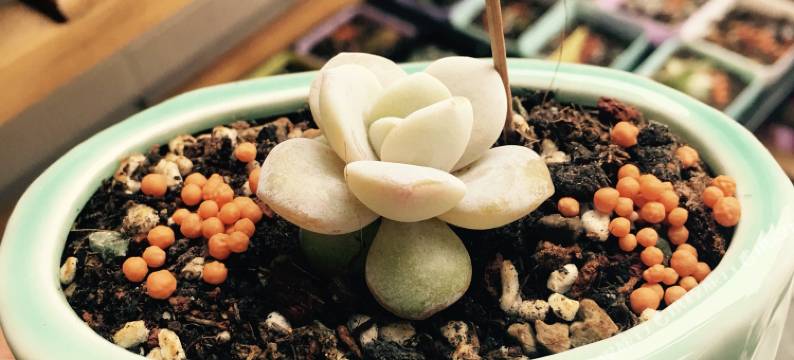 朱家尖乌石塘屿浔民宿图片