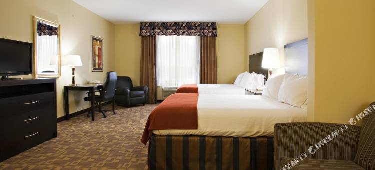 智选假日套房酒店斯奈德(Holiday Inn Express & Suites Snyder)图片