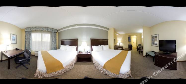 智选假日套房酒店士麦那，纳什维尔地区(Holiday Inn Express & Suites Smyrna-Nashville Area)图片