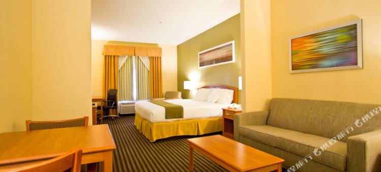 智选假日套房酒店巴斯特罗普(Holiday Inn Express & Suites Bastrop)图片