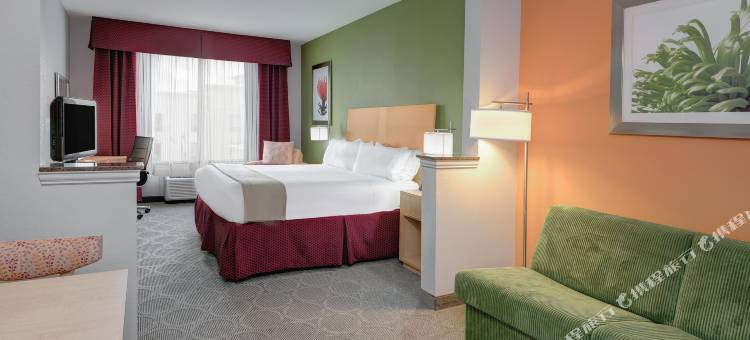 智选假日套房酒店克卢特- 杰克逊湖(Holiday Inn Express & Suites Clute - Lake Jackson)图片