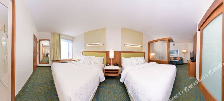 沃里斯芒特劳雷尔/樱桃山万豪SpringHill Suites 酒店(SpringHill Suites Voorhees Mt. Laurel/Cherry Hill)图片