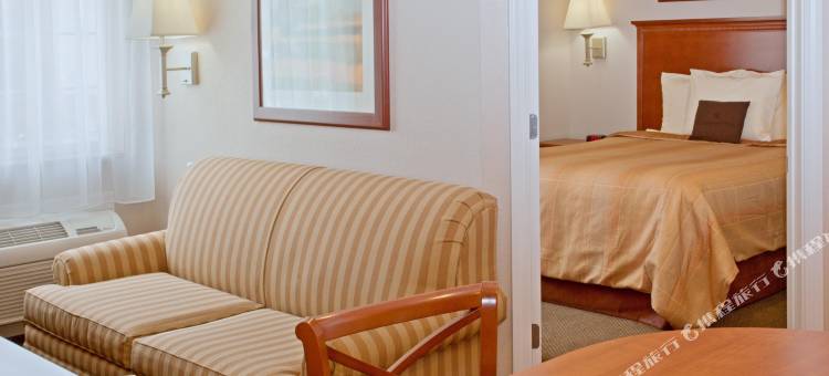 Candlewood Suites 休斯顿医疗中心 by IHG(Candlewood Suites Houston Medical Center)图片