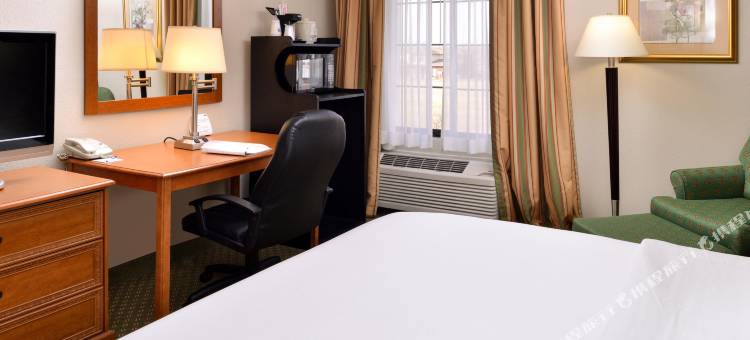 智选假日套房酒店麦迪逊(Holiday Inn Express & Suites Madison)图片