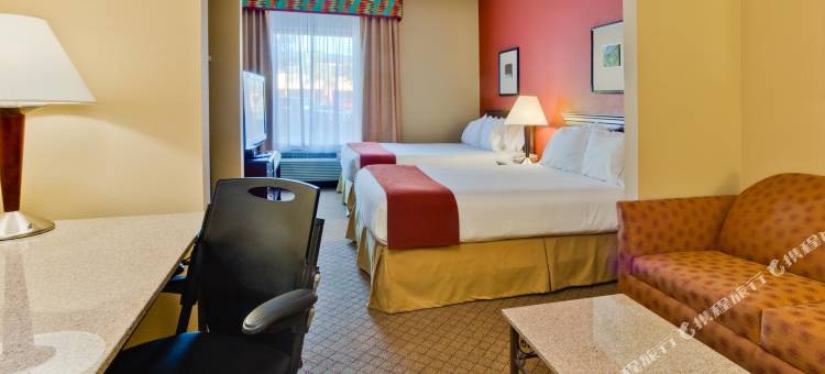 坦帕奥尔兹马智选假日酒店及套房(Holiday Inn Express & Suites Tampa Northwest-Oldsmar)图片