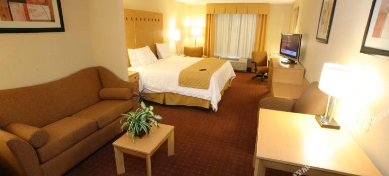 萨尔蒂洛佐纳航空港智选假日酒店(Holiday Inn Express SALTILLO ZONA AEROPUERTO by IHG)图片