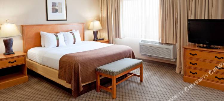 费城南斯韦兹伯勒假日酒店(Holiday Inn Philadelphia South-Swedesboro)图片