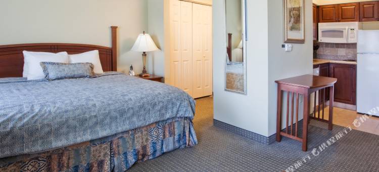 Staybridge Suites 奥古斯塔(Staybridge Suites Augusta)图片