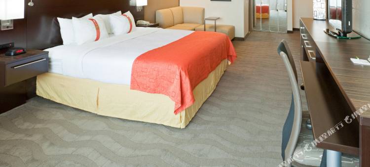 Holiday Inn 奥斯汀城(Holiday Inn Austin Midtown)图片