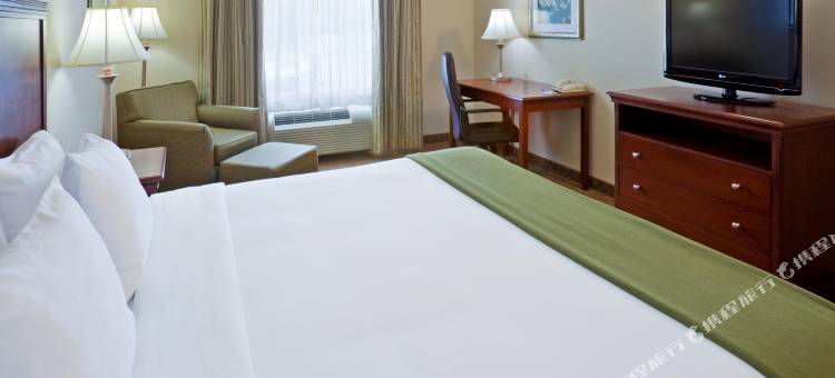 智选假日套房酒店雪松山(Holiday Inn Express & Suites Dallas Southwest-Cedar Hill)图片